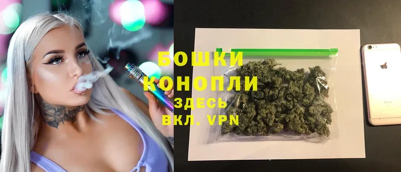 где найти наркотики  Белоусово  Бошки марихуана SATIVA & INDICA 